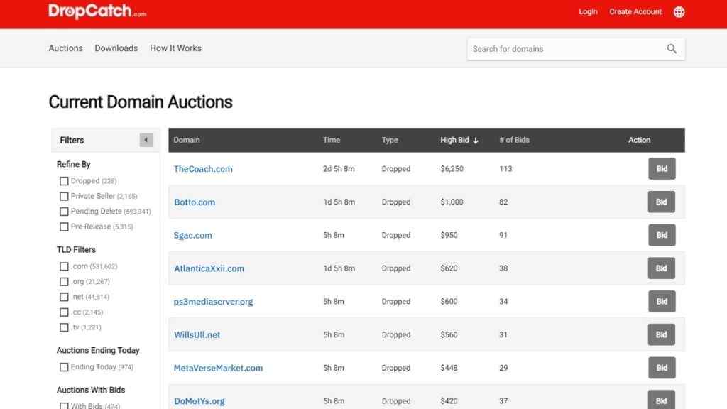 dropcatch expired domains for sale