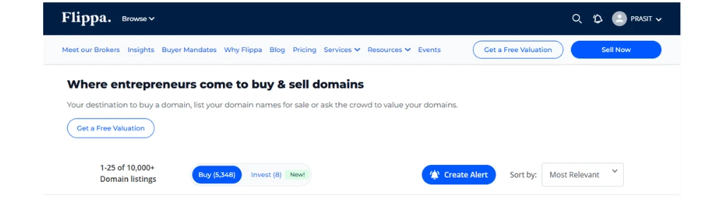 Flippa-expired-domains