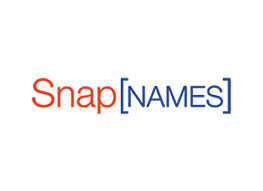 snapnames domain auctions