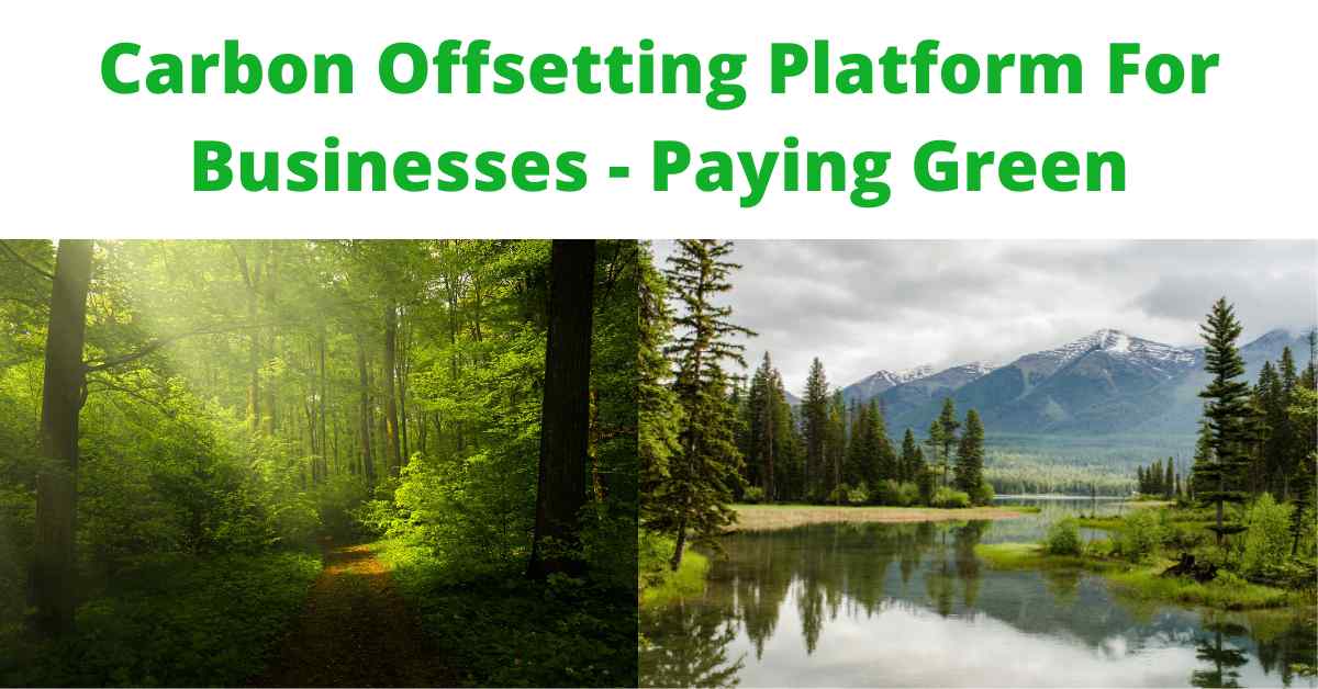 carbon-offsetting-solution-paying-green-review